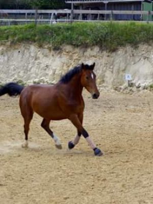 FB_IMG_1435310372193