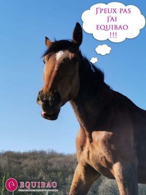 received_500457101135598